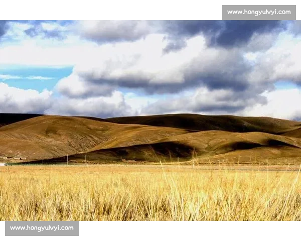 告别熟悉的战靴，踏上崭新的人生旅程
